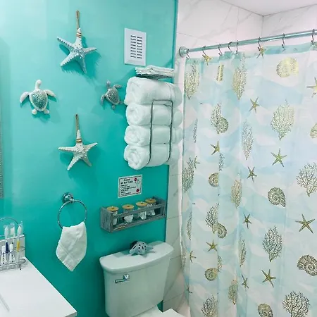 Beautiful And Comfortable Rom Apt # 2 Tampa Esterno foto