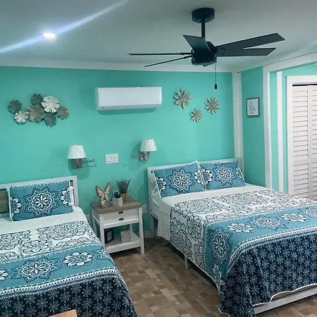 Beautiful And Comfortable Rom Apt # 2 Tampa Esterno foto